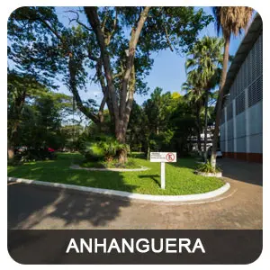 tour virtual google 360