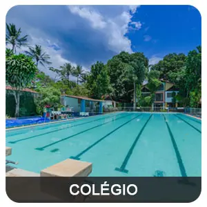 tour virtual google 360