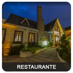 tour virtual google 360