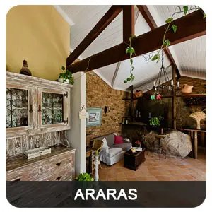 tour virtual 360 google